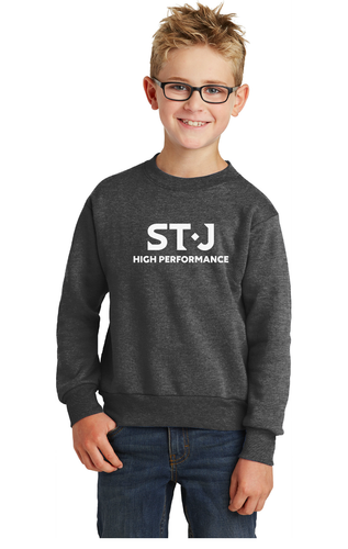 Port & Company® Youth Fleece Crew Sweatshirt image thumbnail