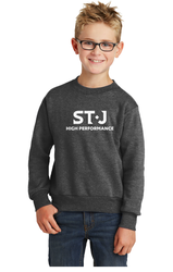 Image of Port & Company® Youth Fleece Crew Sweatshirt