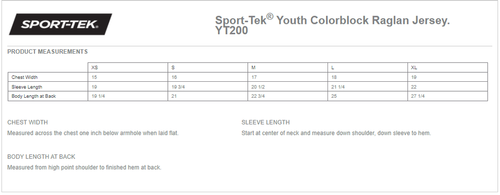 Sport Tek Youth Colorblock Raglan Jersey image thumbnail