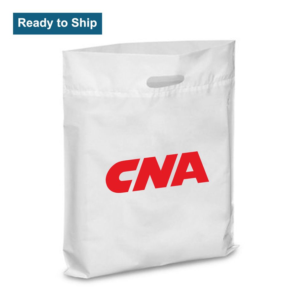 Plastic Convention Bag primary image