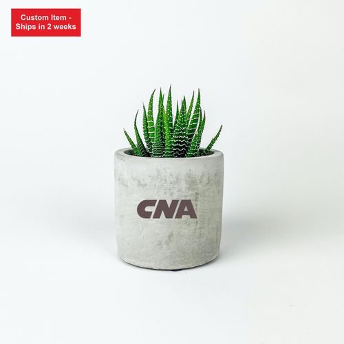 Mini Parker Desk Plant image thumbnail