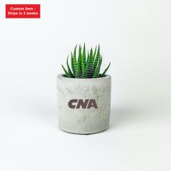 Image of Mini Parker Desk Plant