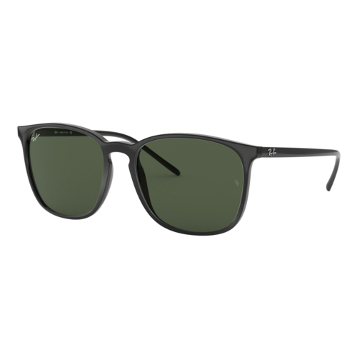RAY-BAN RB4387 SUNGLASSES image thumbnail