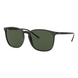 Image of RAY-BAN RB4387 SUNGLASSES