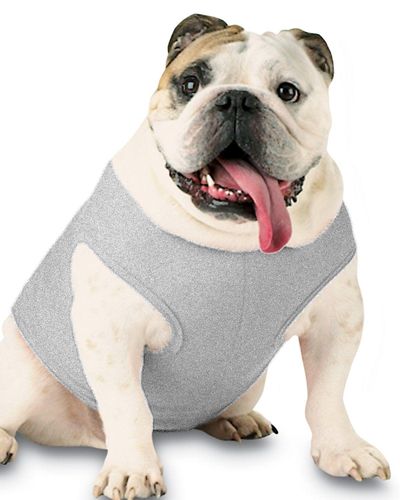 Dog/Cat Tank image thumbnail