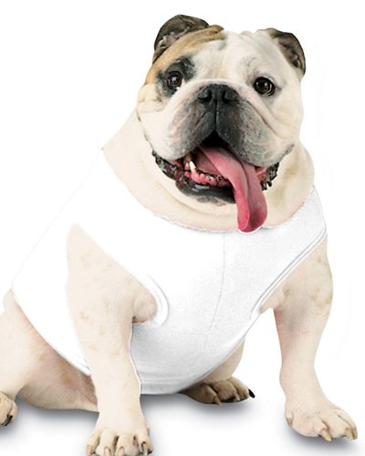 Dog/Cat Tank image thumbnail