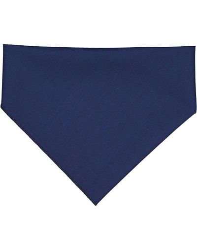 Doggie Bandana image thumbnail
