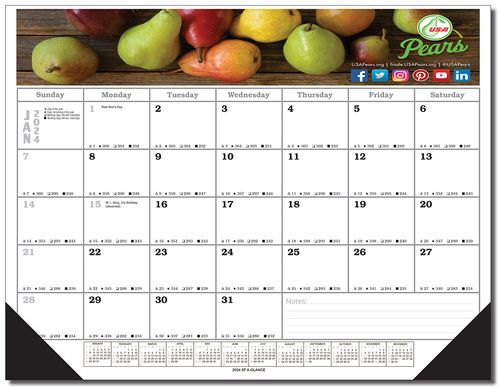 Desk Planner Blotter Calendar - Full Color A448 image thumbnail