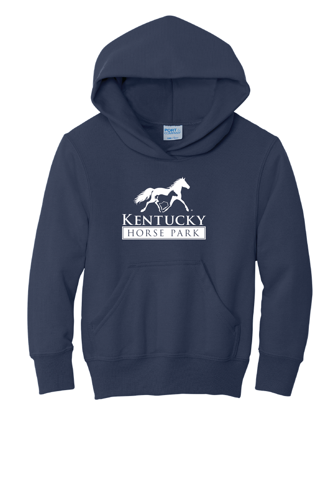  Youth Core Fleece Pullover Hooded Sweatshirt primary image