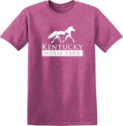 Image of Softstyle T-Shirt