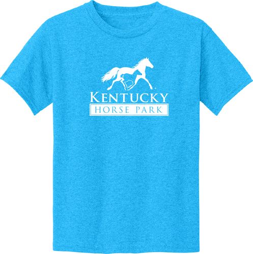  Youth Heavy Cotton™ T-Shirt  image thumbnail