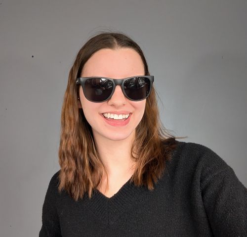 Lionhart Sunglasses - Black Frames (5 per Bundle) image thumbnail