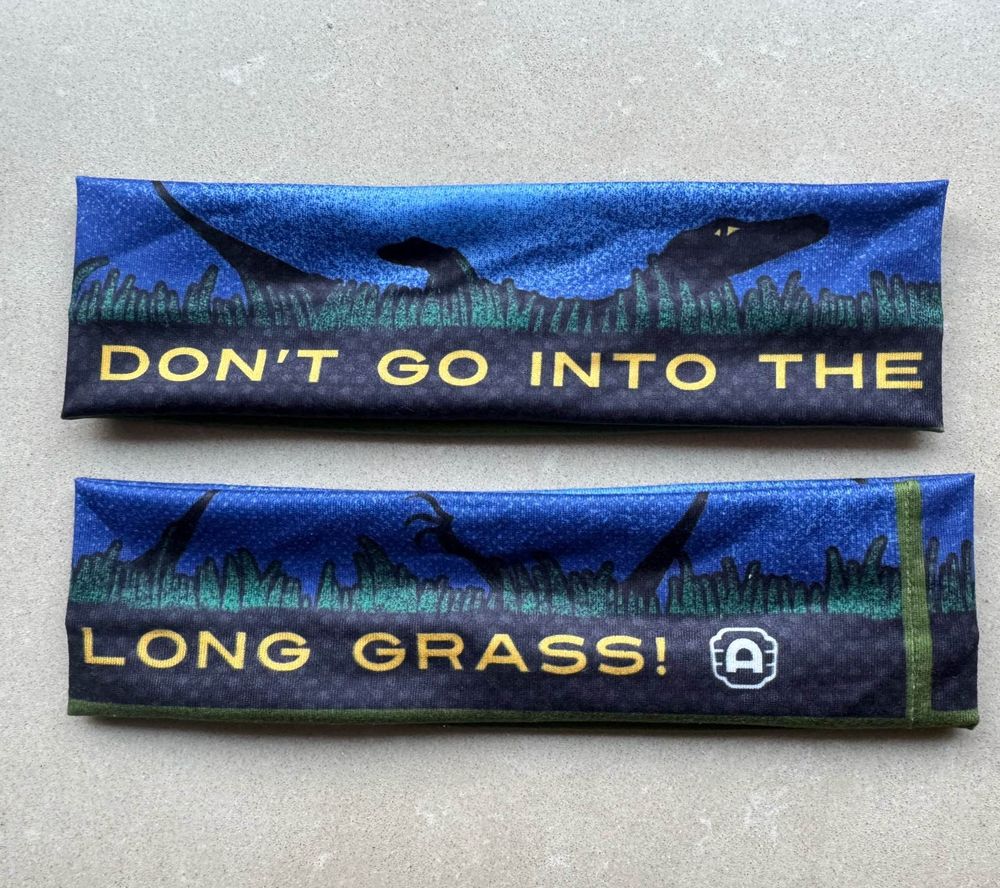 Don't Go- Headband primary image