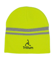 Image of *In Stock* Trillium Reflective Beanie