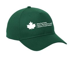 Image of A1006 - Big Accessories 5-Panel Brushed Twill Unstructured Cap (BX008,1C)