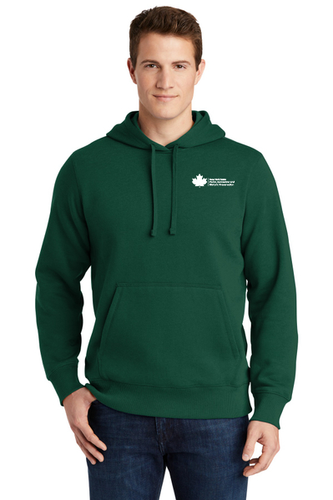 A3134 Sport-Tek Pullover Hooded Sweatshirt (EMB ST254) image thumbnail