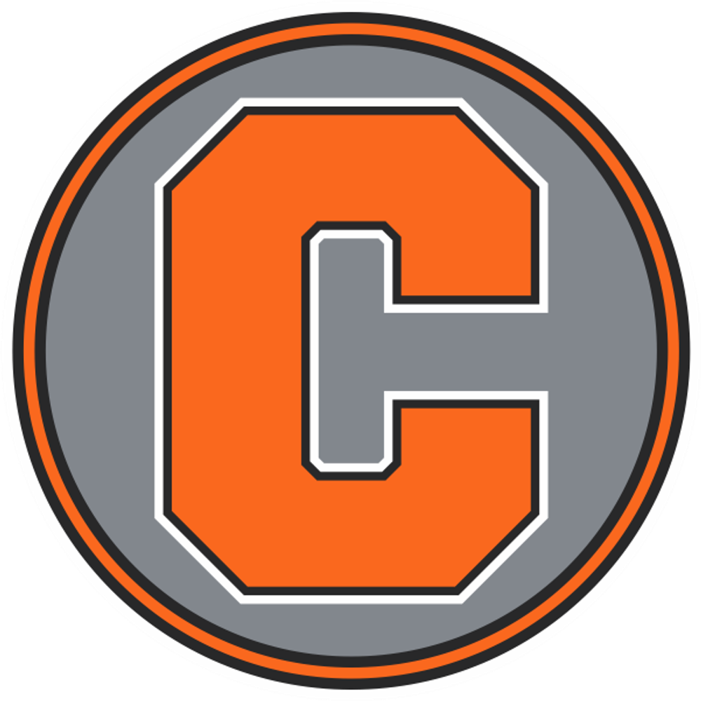 Chesaning Block C Decal primary image