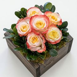 Image of Olive & Cocoa – sonora bouquet