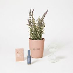 Image of Modern sprout seek peace take care kit - lavender
