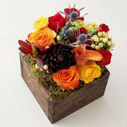 Image of Olive & Cocoa farmhouse fleur