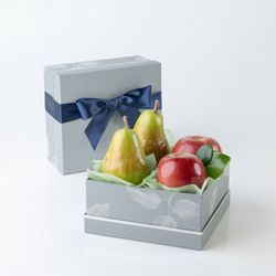 Image of The Fruit Company – silver fruit box