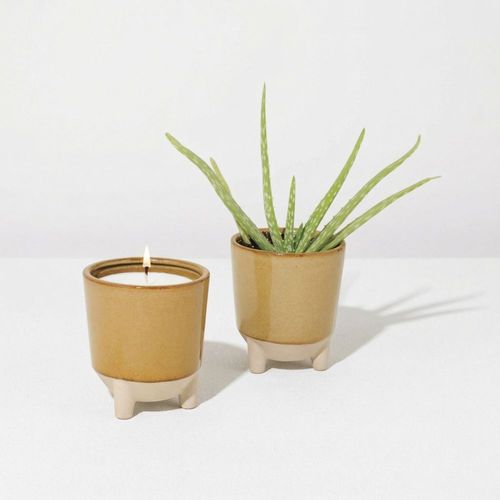Modern sprout glow & grow live well gift set image thumbnail