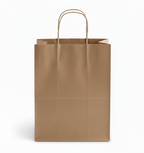Bistro Natural Kraft Paper Twisted HandleBags (Large) image thumbnail