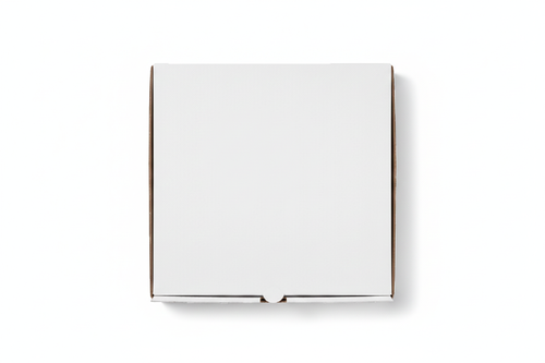 10"Inch White /Kraft Pizza Box image thumbnail