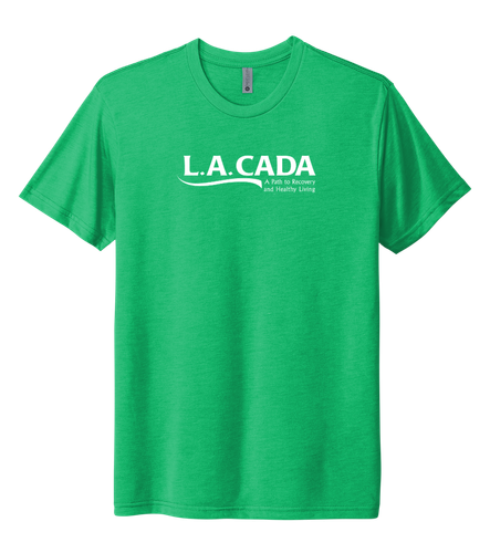 Tri-Blend Tee - White Logo - DTG image thumbnail