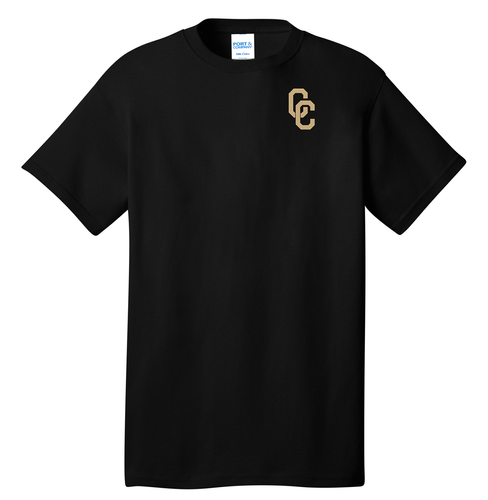 District Adult Core Cotton Tee image thumbnail