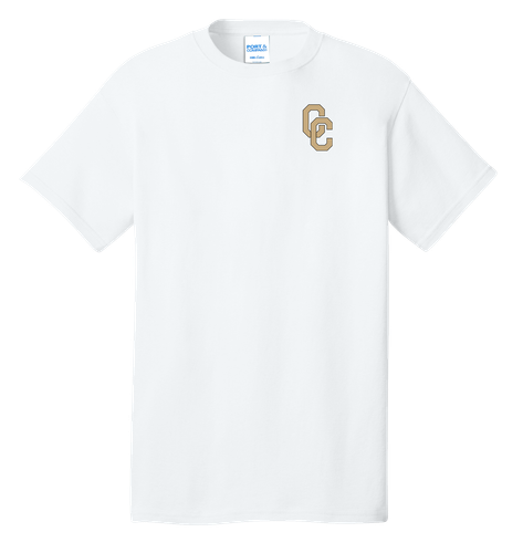 District Adult Core Cotton Tee image thumbnail