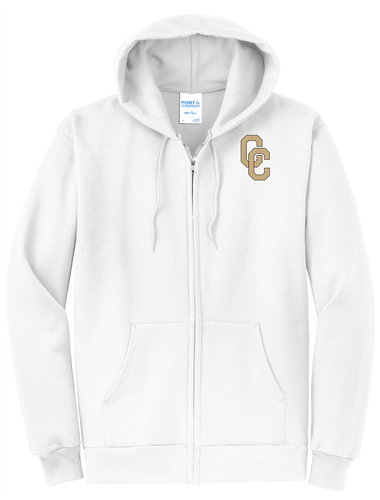 District Core Fleece Full-Zip Hooded Sweatshirt  image thumbnail