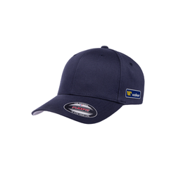 Image of Flex Fit Full Back Cap
