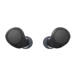Image of Sony WF-C510 Truly Wireless Earbuds 