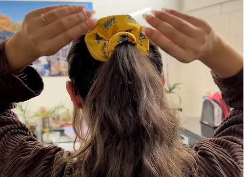 Hair Scrunchie image thumbnail