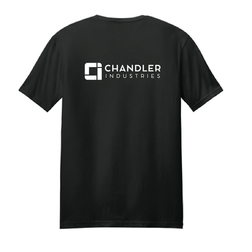 Chandler-Gildan Softstyle T-Shirt. 64000 image thumbnail