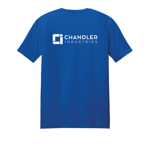 Chandler-Gildan Softstyle T-Shirt. 64000 image thumbnail