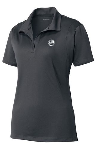 Ladies Micropique Sport-Wick Polo image thumbnail
