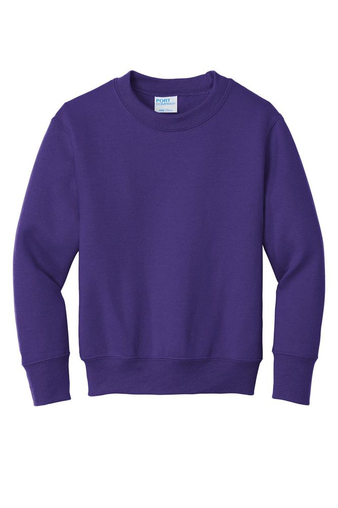 Port & Company - Youth Core Fleece Crewneck Sweatshirt. PC90Y primary image