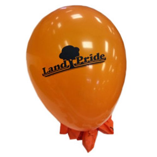 Orange Balloons (Pack of 25) image thumbnail