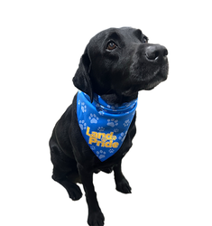 Image of Land Pride BanDoggie Cooling Pet Bandana