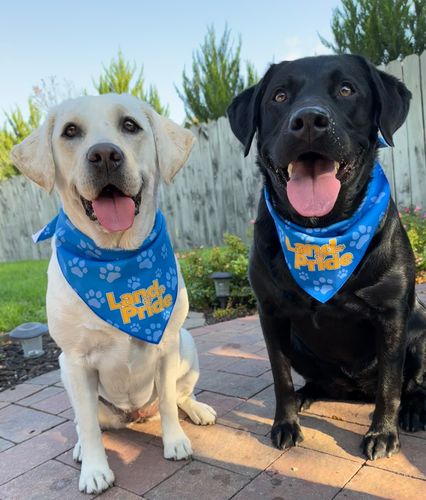 Land Pride BanDoggie Cooling Pet Bandana image thumbnail