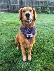 Image of Land Pride Stars & Paws Doggie Bandana Large