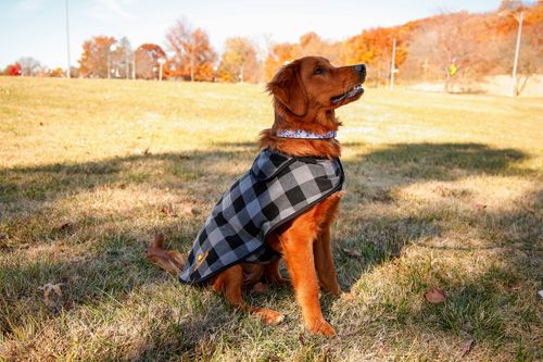 Port Authority Pet Fleece Jacket PE100 image thumbnail