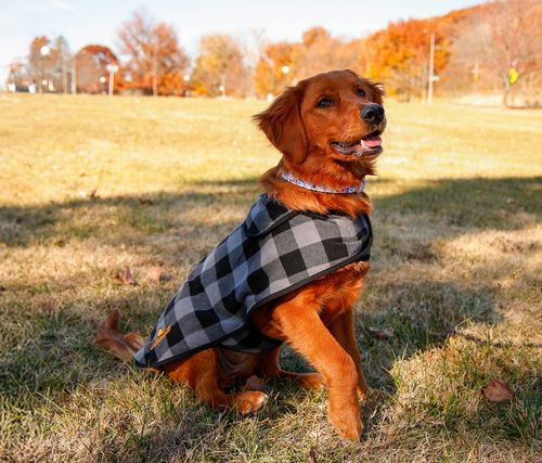 Port Authority Pet Fleece Jacket PE100 image thumbnail