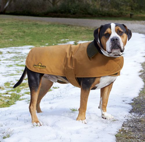 Carhartt Dog Chore Coat CTP0000505 image thumbnail