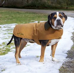 Image of Carhartt Dog Chore Coat CTP0000505