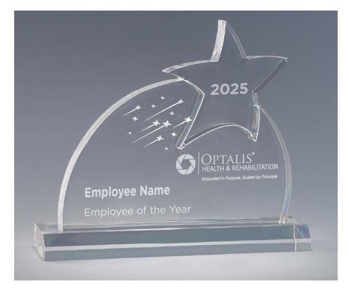 Employee of the Year Stellar Award image thumbnail