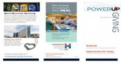 Image of Development Opportunities For Giving Trifold