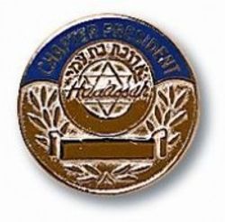Image of Chapter President Pin